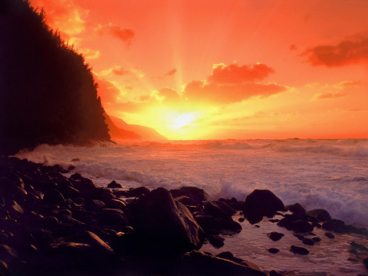 26290 (a): :1600x1200